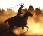 Cowboy οδήγηση ενός αλόγου με το λάσο